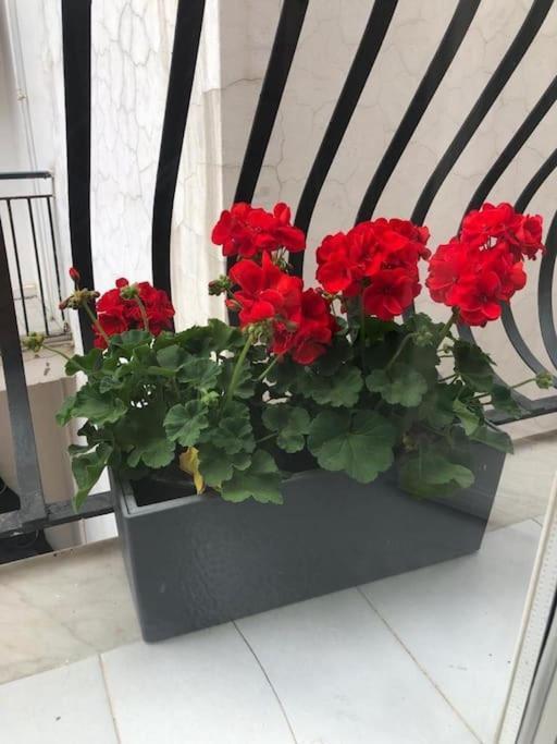 Delizioso A Apartamento *